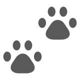 Paw Prints on Docomo 2013