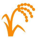 Sheaf of Rice on Docomo 2013