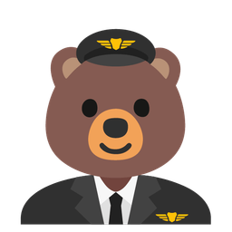 airplane and bear