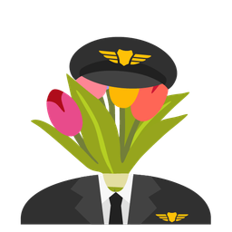 airplane and bouquet