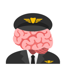 airplane and brain
