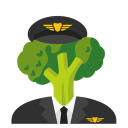 airplane and broccoli