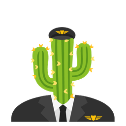 airplane and cactus