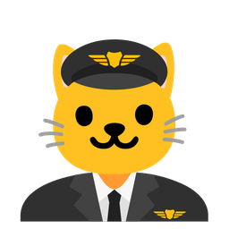 airplane and cat face