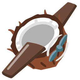 airplane and coconut