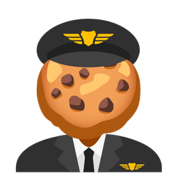 airplane and cookie