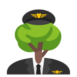 airplane and deciduous tree