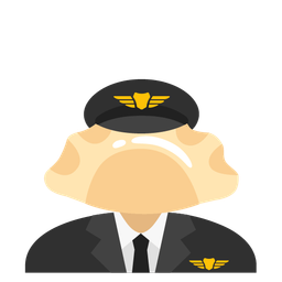 airplane and dumpling