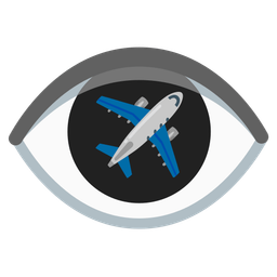 airplane and eye