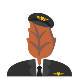 airplane and fallen leaf