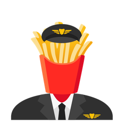 airplane and french fries