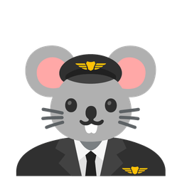 airplane and mouse face