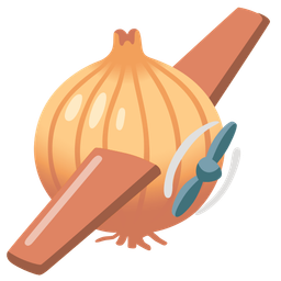 airplane and onion