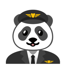 airplane and panda