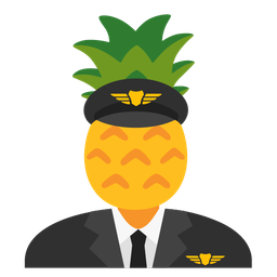 airplane and pineapple