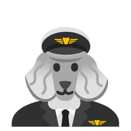 airplane and poodle