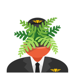 airplane and potted plant