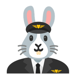 airplane and rabbit face