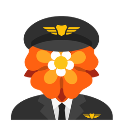 airplane and rosette