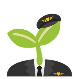 airplane and seedling