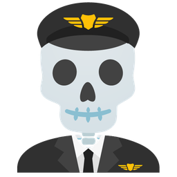 airplane and skull