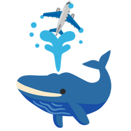 airplane and spouting whale