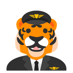airplane and tiger face