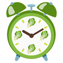 alarm clock and leafy green