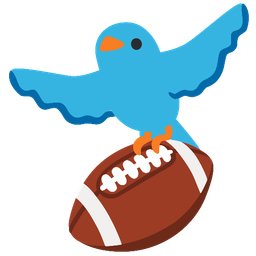 american football and bird