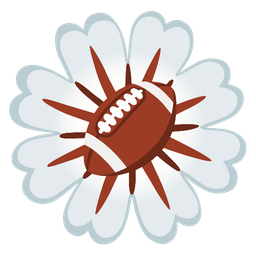 american football and blossom