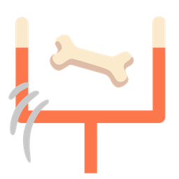 american football and bone