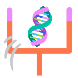 american football and dna