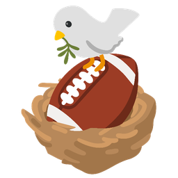 american football and dove