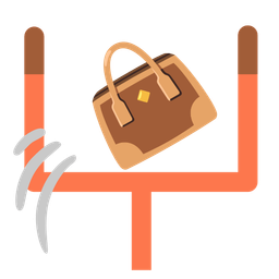 american football and handbag