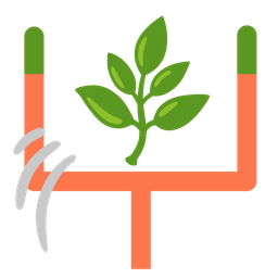 american football and herb