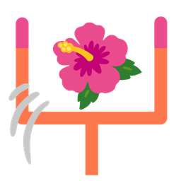 american football and hibiscus