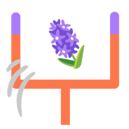 american football and hyacinth