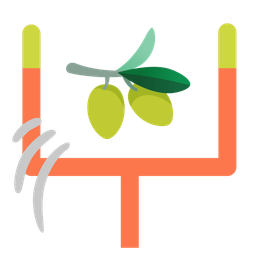 american football and olive