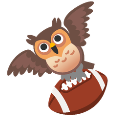 american football and owl