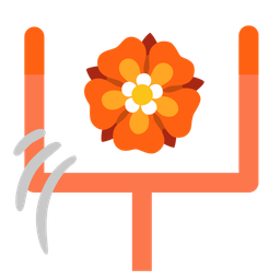 american football and rosette