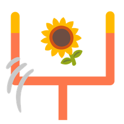 american football and sunflower