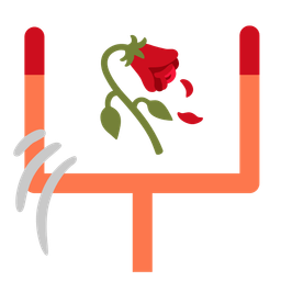 american football and wilted flower