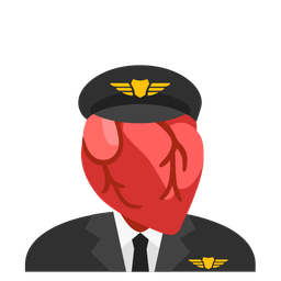 anatomical heart and airplane