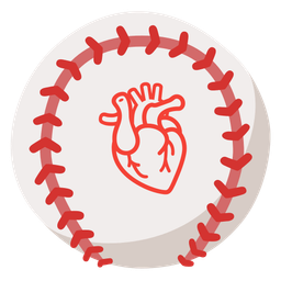 anatomical heart and baseball