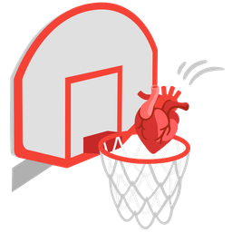 anatomical heart and basketball