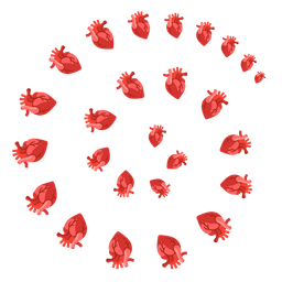 anatomical heart and cyclone