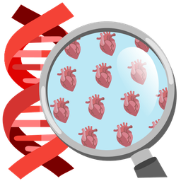 anatomical heart and dna