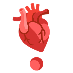 anatomical heart and heart exclamation