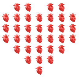 anatomical heart and heart suit