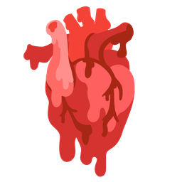 Anatomical heart and Melting face